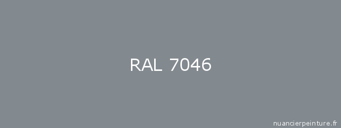 PEINTURE RAL 7046 Gris Telecom2 - Aérosol 400 ML - Belton : 324161